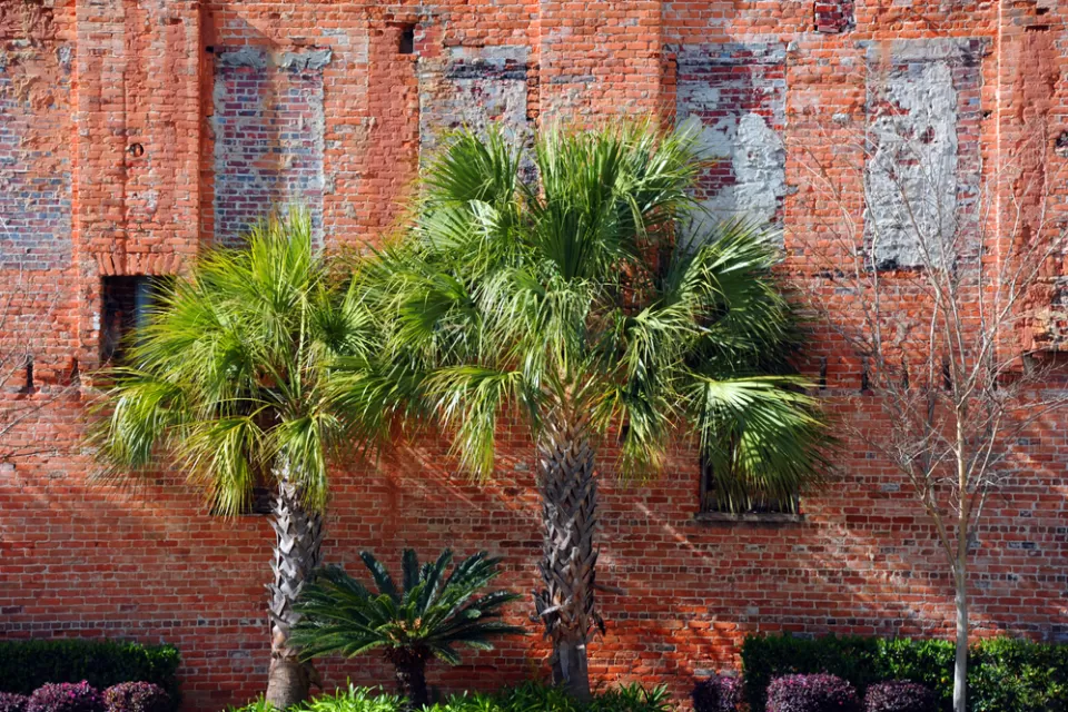 South Carolina